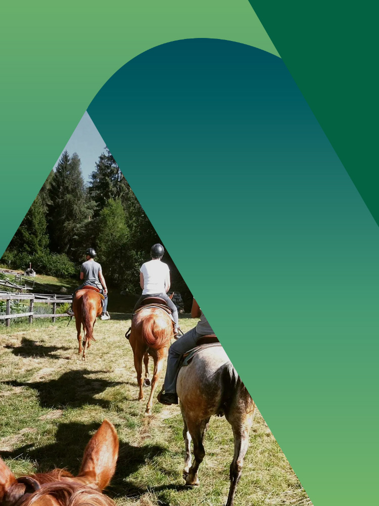 Passeggiata cavallo Dolomiti