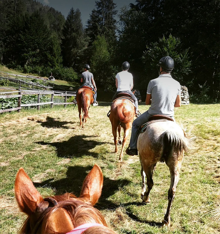 Passeggiata cavallo Dolomiti