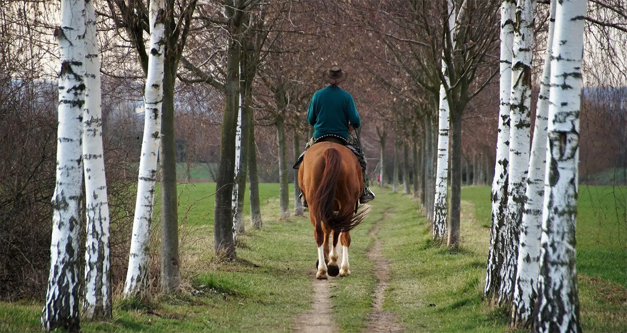 passeggiata-cavallo-gallery-3