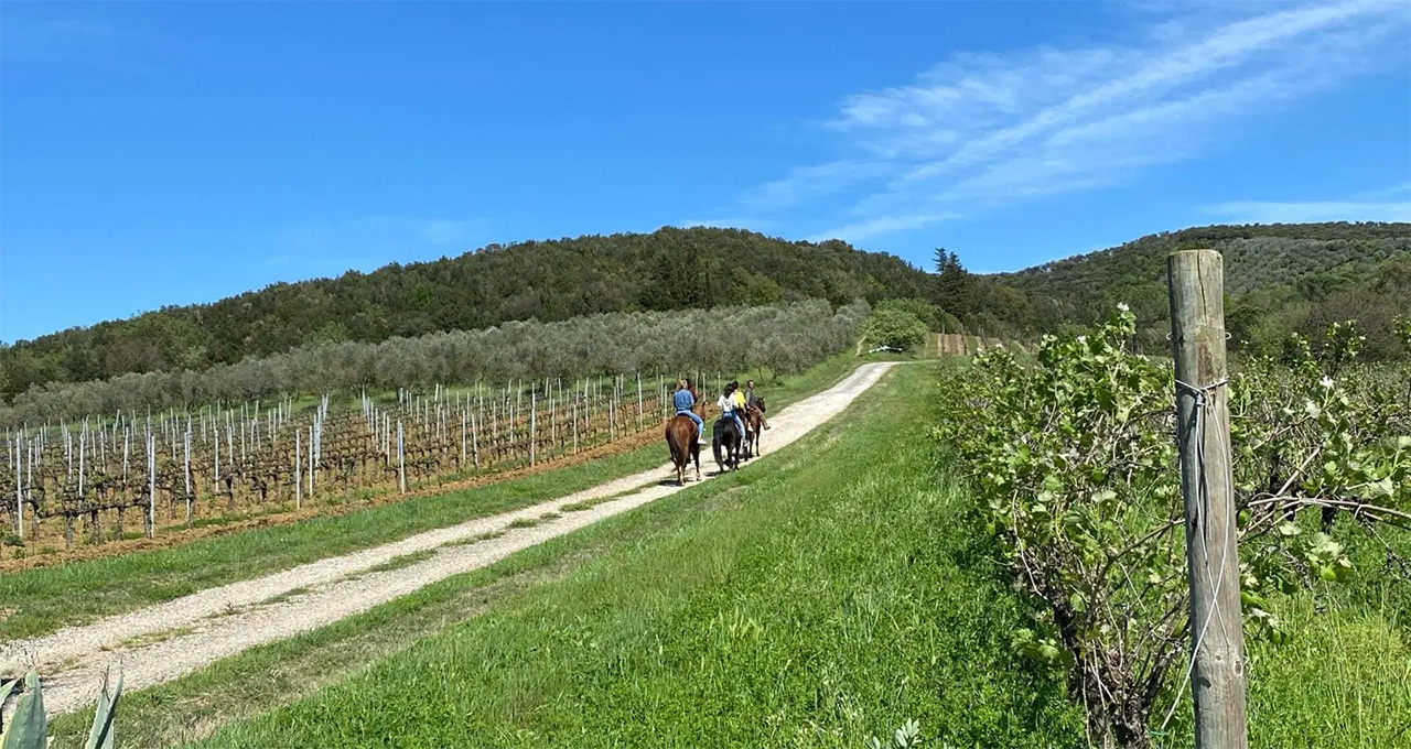 passeggiata-cavallo-maremma-gallery-1