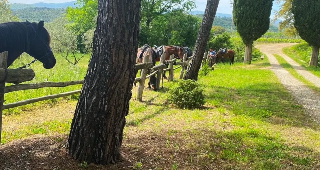 passeggiata-cavallo-maremma-gallery-3