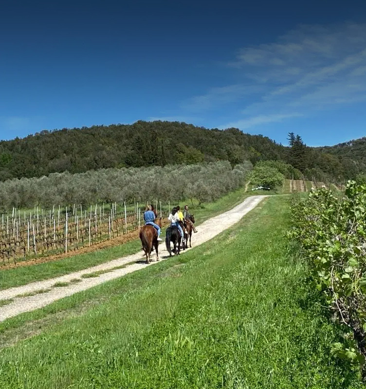 Passeggiata cavallo Maremma