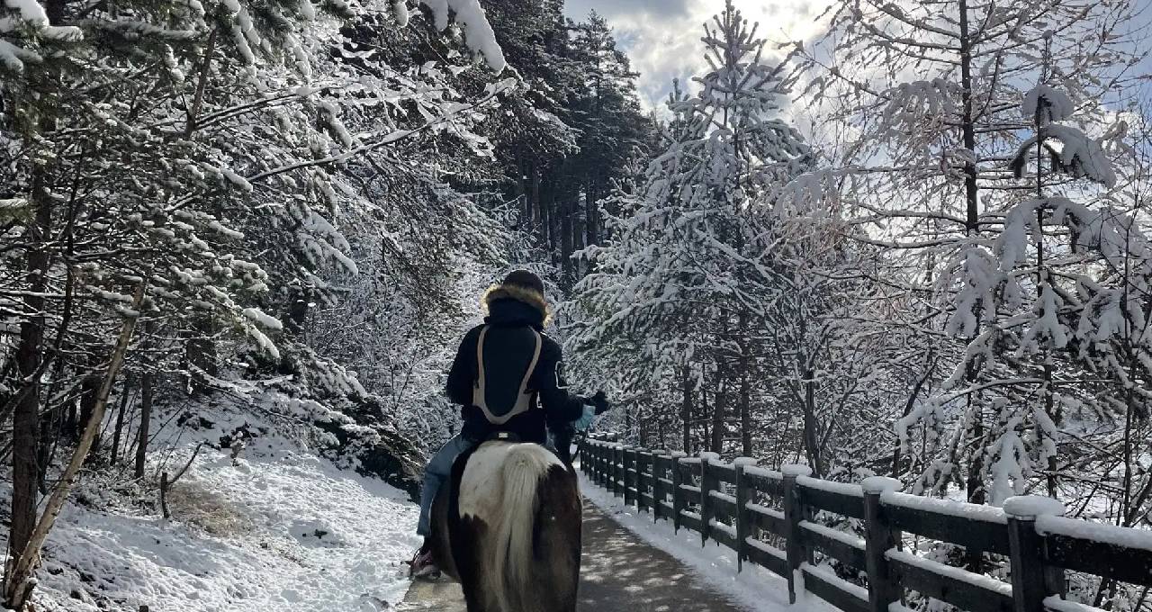 Alla scoperta di Bormio a cavallo!