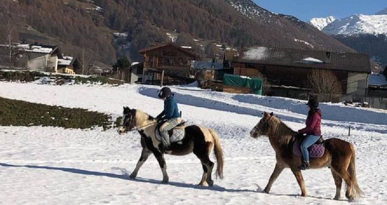 Alla scoperta di Bormio a cavallo!