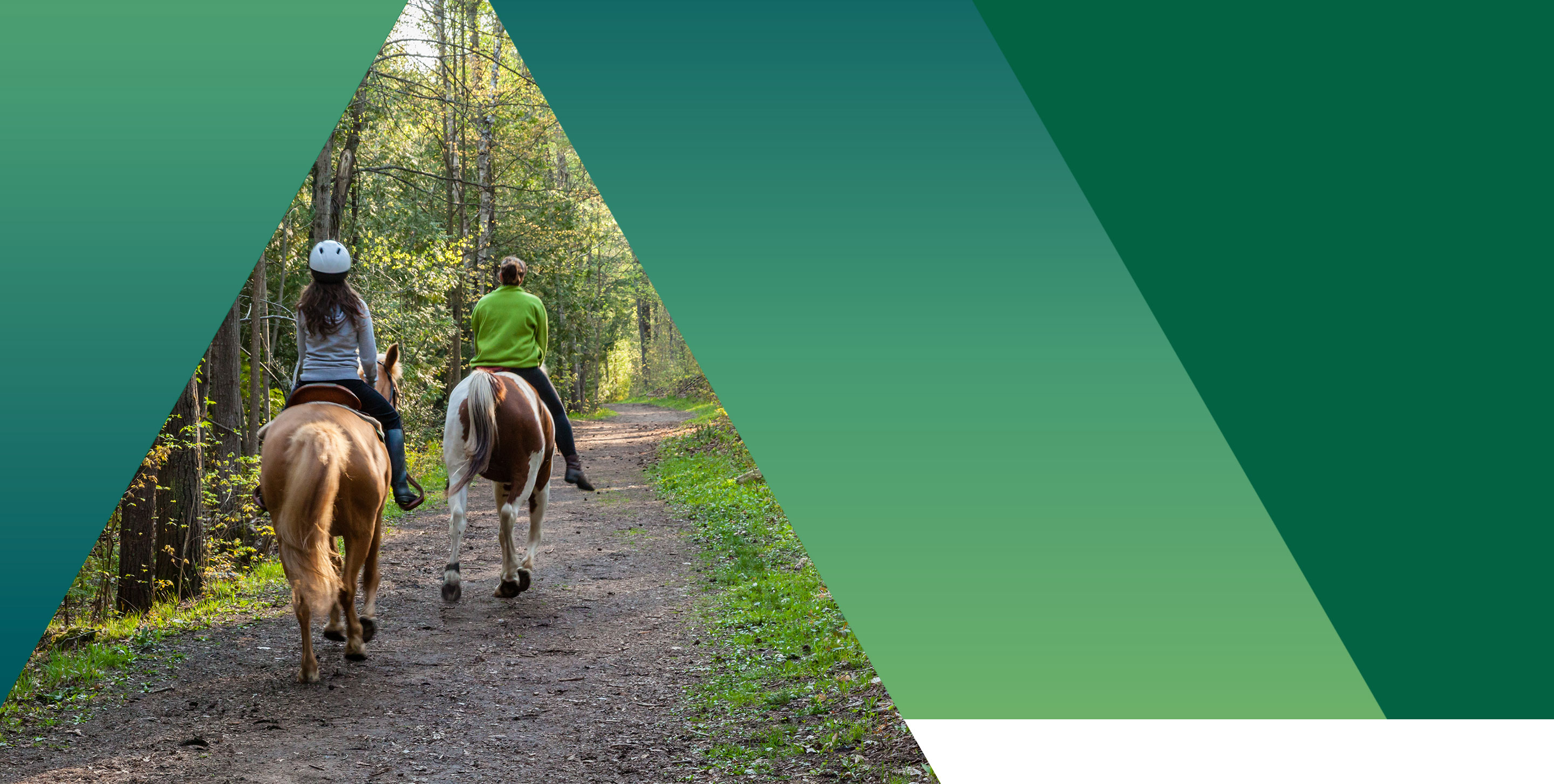 Dove fare passeggiate a cavallo in Italia