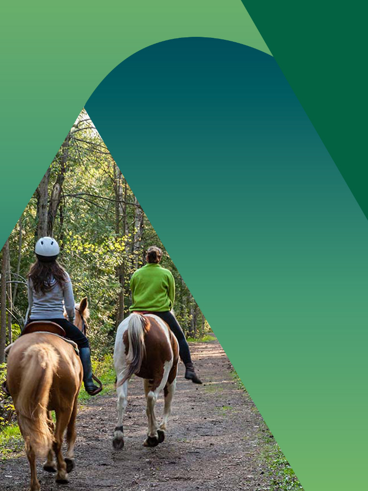 Dove fare passeggiate a cavallo in Italia