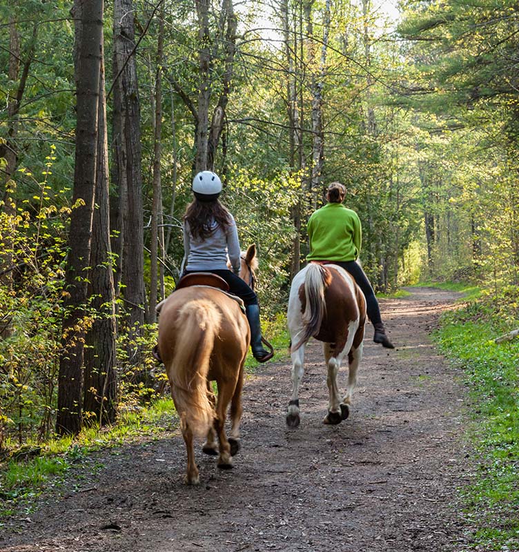 Dove fare passeggiate a cavallo in Italia