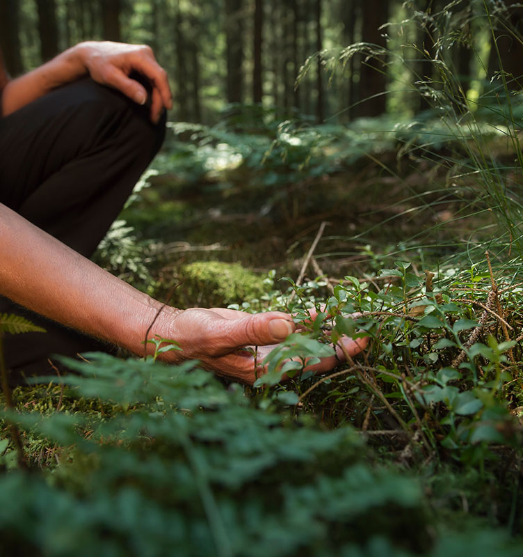 Forest bathing (shinrin-yoku): cos'è e come funziona